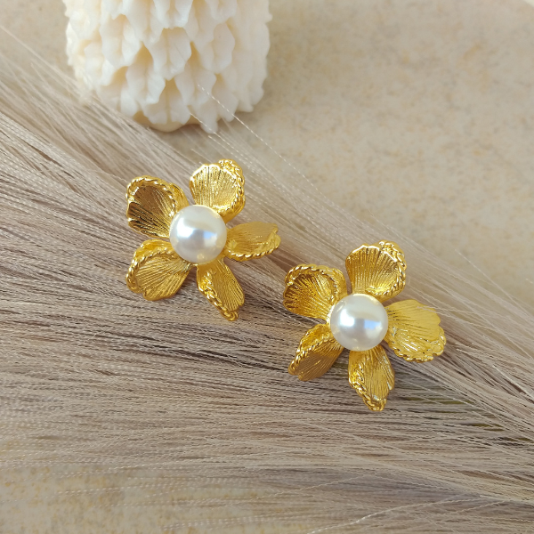 Aretes schiaparelli