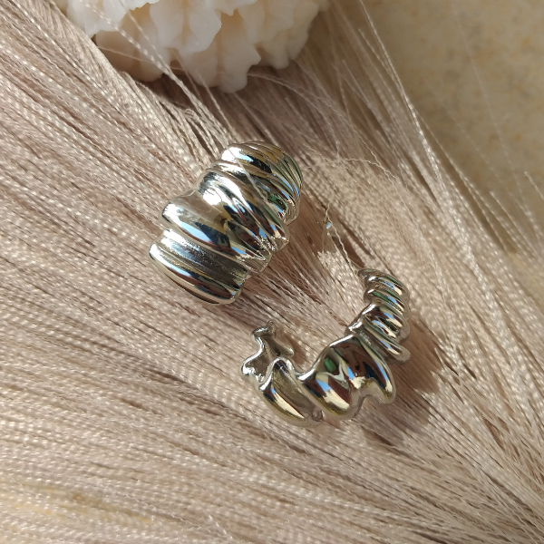 Aretes Naomi plateados