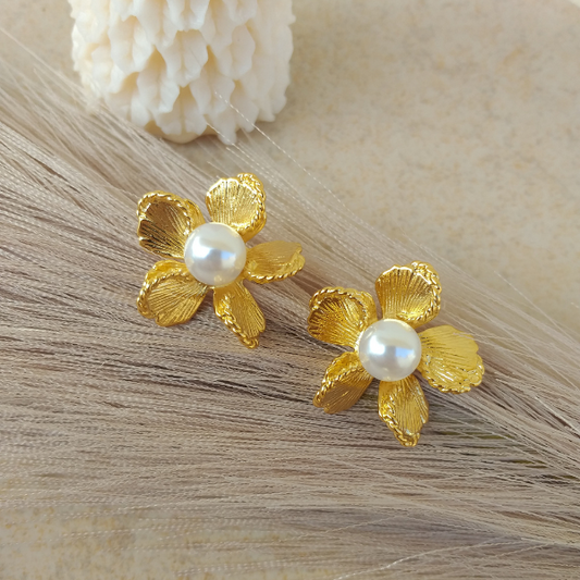 Aretes schiaparelli