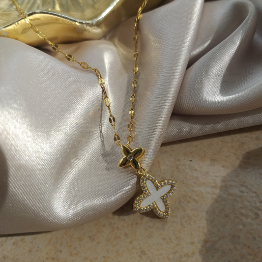 Collar Vann