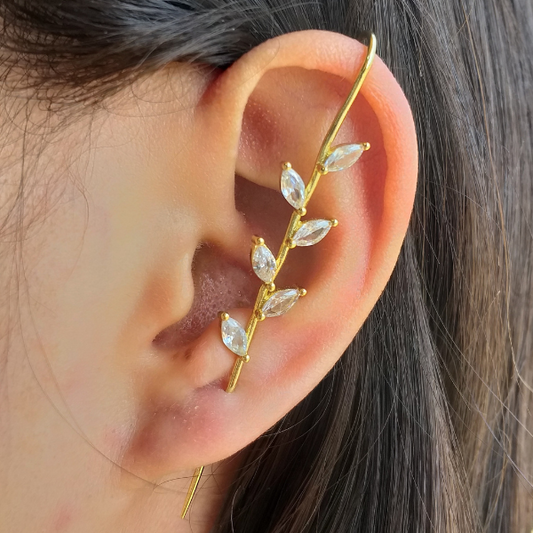 Arete transversal hojas